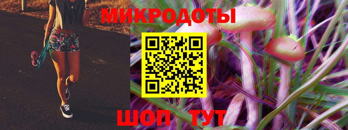 Кулебаки  Псилоцибиновые грибы GOLDEN TEACHER  Вход с VPN  Галлюциногенные грибы Psilocybine cubensis 